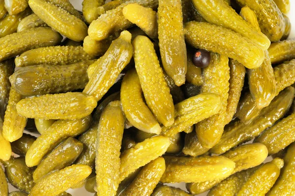 Muitos pickles. Pepinos . — Fotografia de Stock