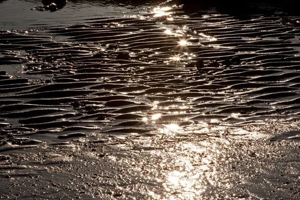 stock image Beach Texture