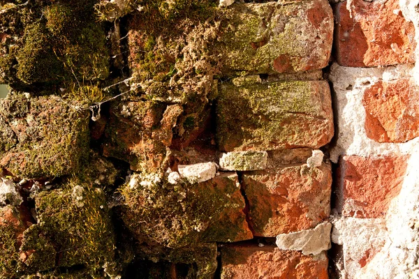 Grunge Wall Background — Stock Photo, Image