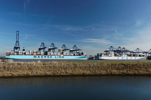 Velká Británie kontejnerový přístavní felixstowe — Stock fotografie
