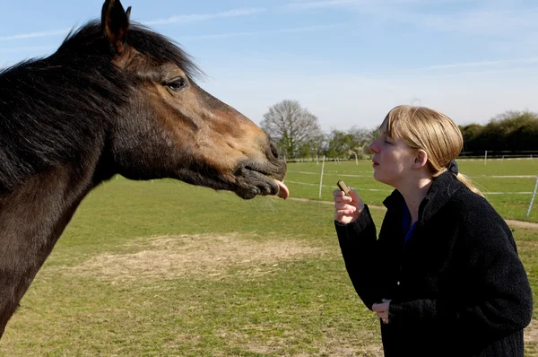 Mädchen füttert ihr Pferd — Stockfoto