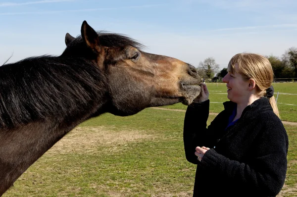 Mädchen füttert ihr Pferd — Stockfoto
