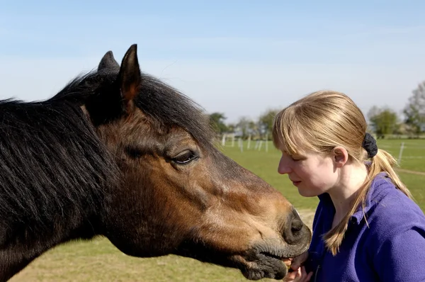 Gadis itu memberi makan kudanya — Stok Foto
