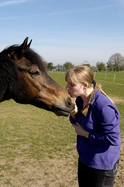 彼女の馬に餌をやる少女 — ストック写真