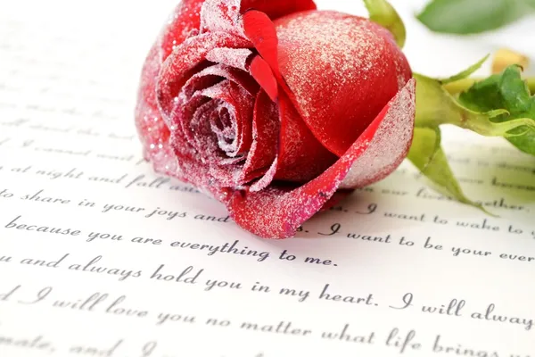 연애 편지에 붉은 장미 — 스톡 사진