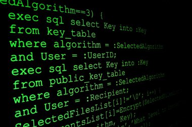 program kodu bir monitörde