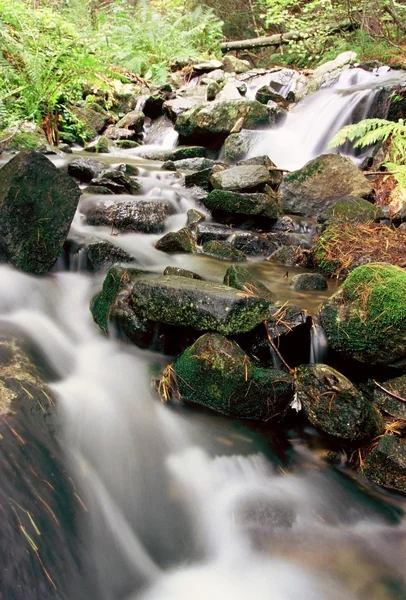 stock image Mountain river. A stream of water in forest and mountain terrain