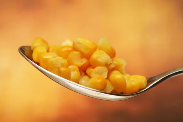 stock image Yellow corn