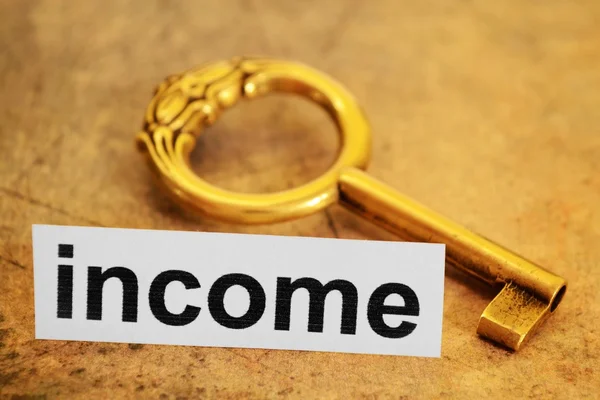 Income concept — Stock Photo, Image