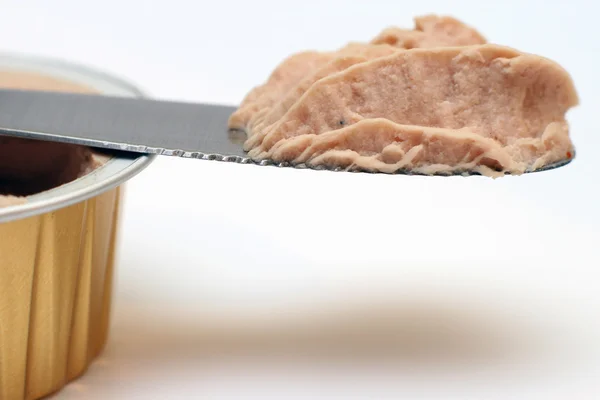 Pâté de foie — Photo