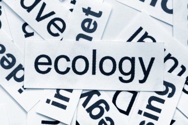 Ecology word cloud clipart