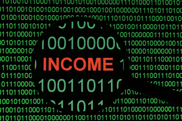 stock image Income