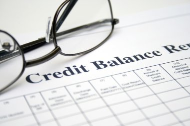 kredi bakiye raporu