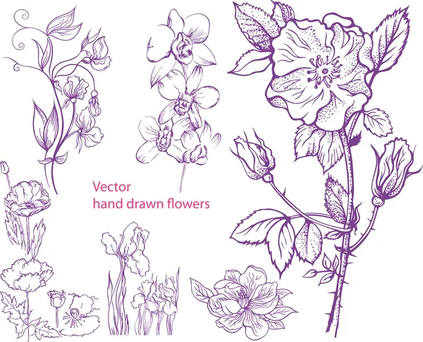 Набор ручных цветов — стоковый вектор
