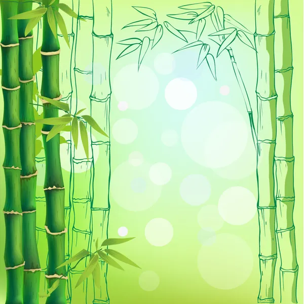 Kontekst bambusa — Wektor stockowy