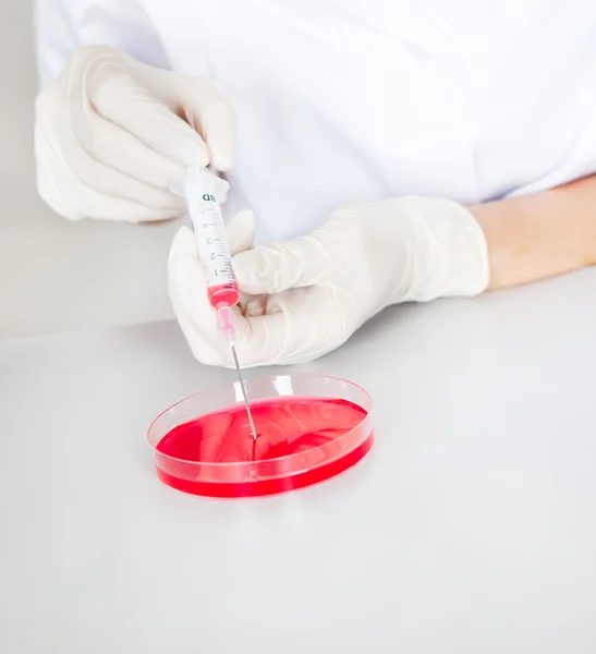 Pesquisador fazendo um expering usando placas de Petri — Fotografia de Stock