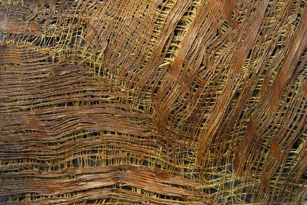 棕榈树树皮的纹理 — 图库照片