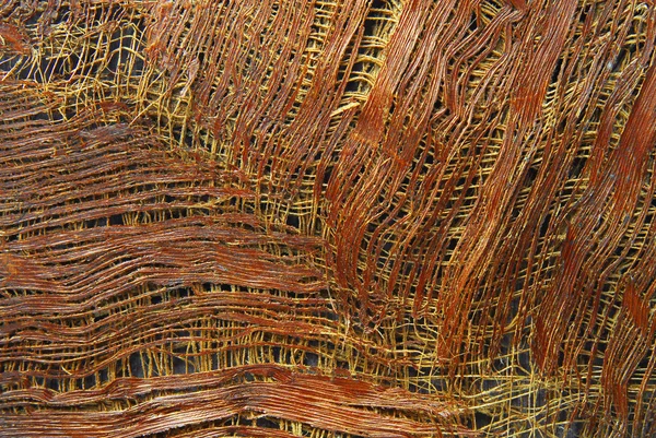 Textura da casca da palmeira — Fotografia de Stock