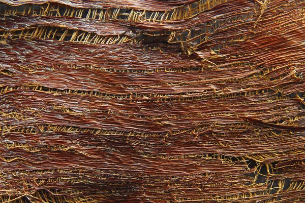 Текстура кори пальми — стокове фото