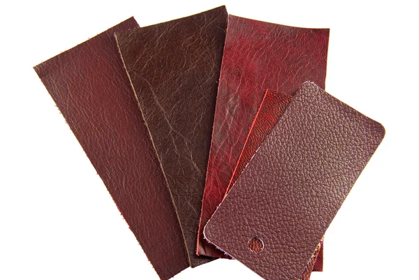 Leather samples, choice of texture and color — Stock Photo, Image