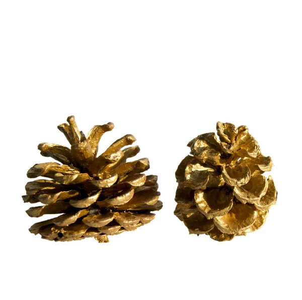 stock image Golden Pine Cones