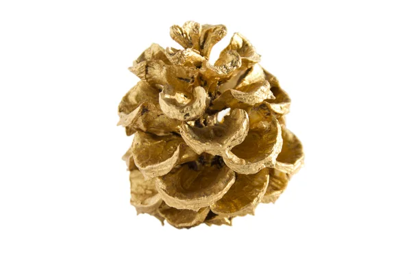 stock image Golden Pine Cones