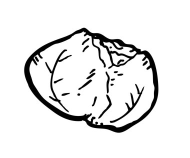 Cabbage doodle vector