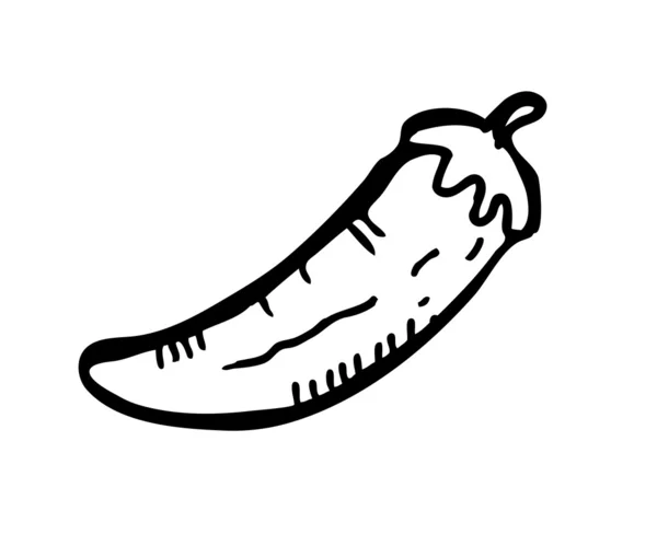 Spaanse peper doodle — Stockvector