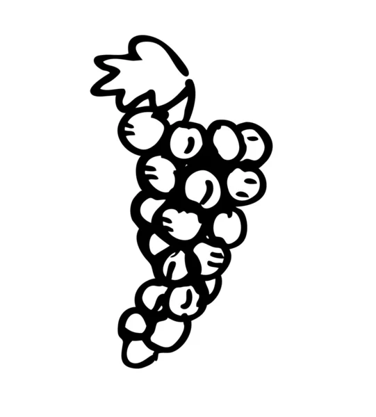 Druif doodle — Stockvector