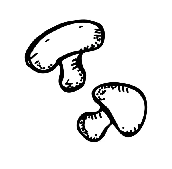Mushroom doodle — Stockvector