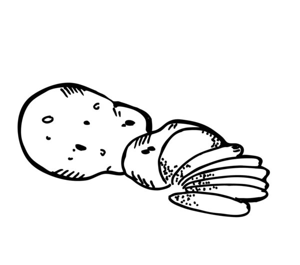 马铃薯切片涂鸦 — 图库矢量图片