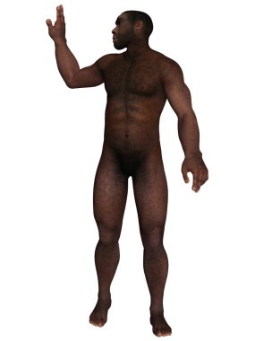 Homo Erectus