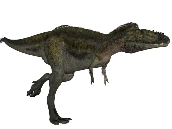 Alioramus-3d 공룡 — 스톡 사진