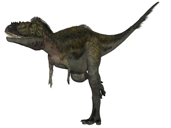 Alioramus-3d 恐龙 — 图库照片