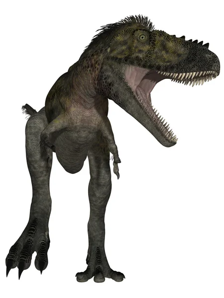 Alioramus-3d 恐龙 — 图库照片