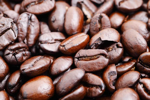 Coffee bean Royalty Free Stock Images