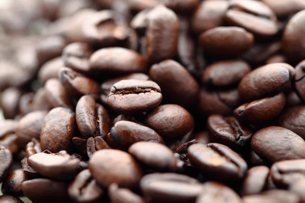 stock image Coffee bean