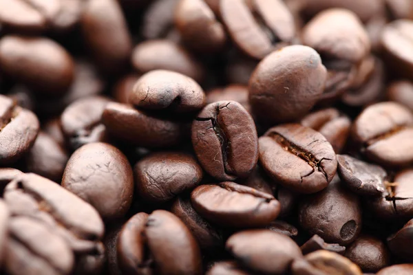 stock image Coffee beans
