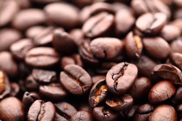 stock image Coffee beans