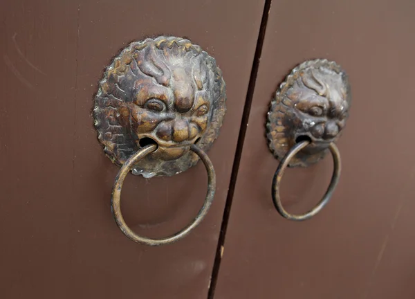 Lion door lock — Stock Photo, Image