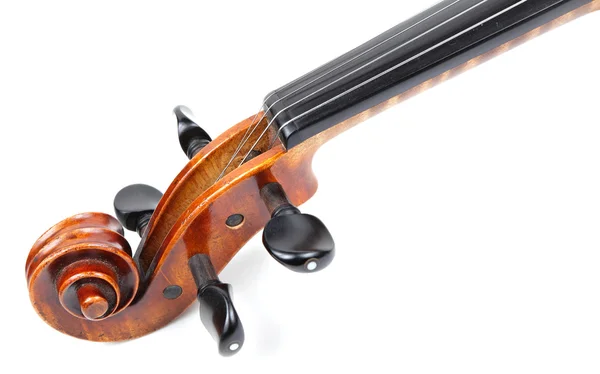 Testa di violino — Foto Stock