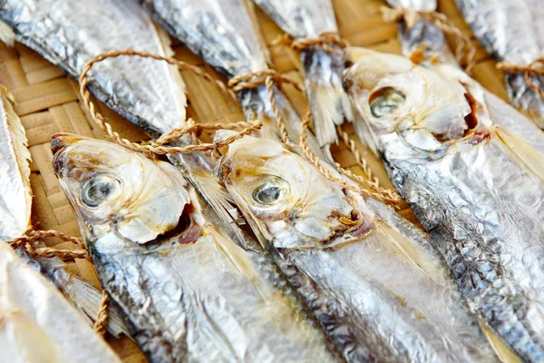 Сухая соленая рыба — стоковое фото