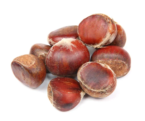 Chestnut Royalty Free Stock Images
