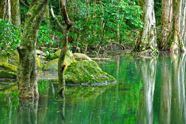 Lago com árvore verde — Fotografia de Stock