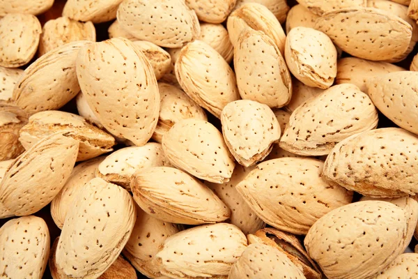 Almond nut — Stock Photo, Image