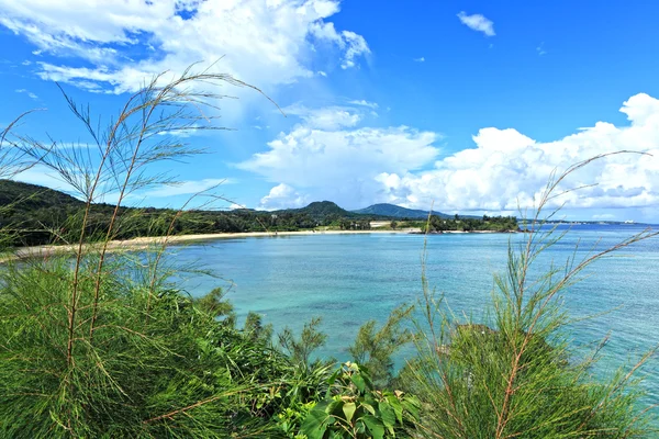 Пляж Окинавы — стоковое фото