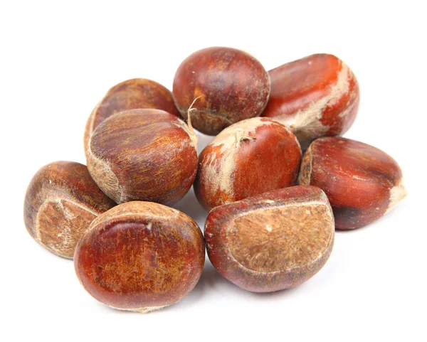 Chestnut isolated Stock Picture
