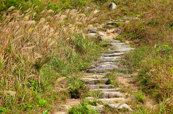 Mountain path for hiking — Stock Photo, Image