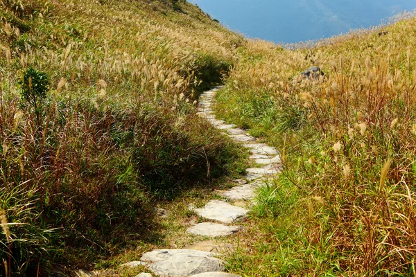 Caminho de montanha para caminhadas — Fotografia de Stock