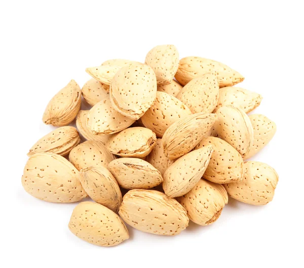 stock image Almond nut